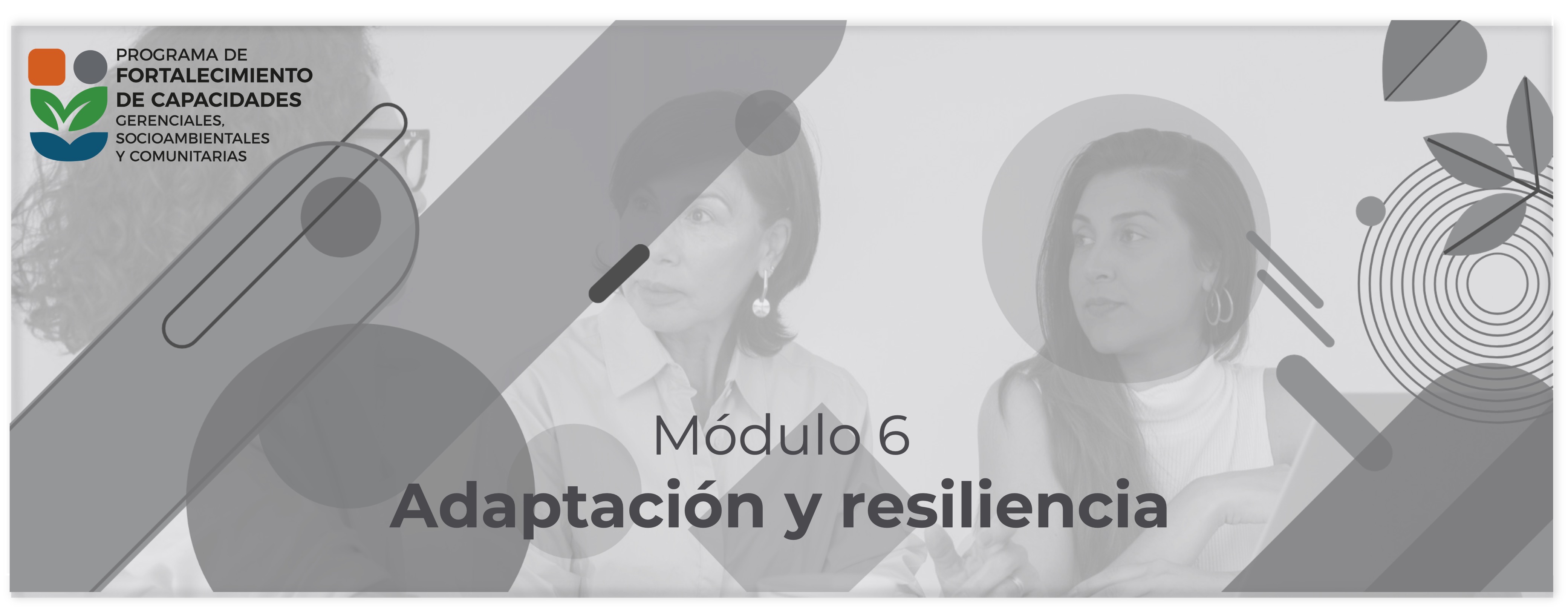 Módulo 6 Adaptación y resiliencia