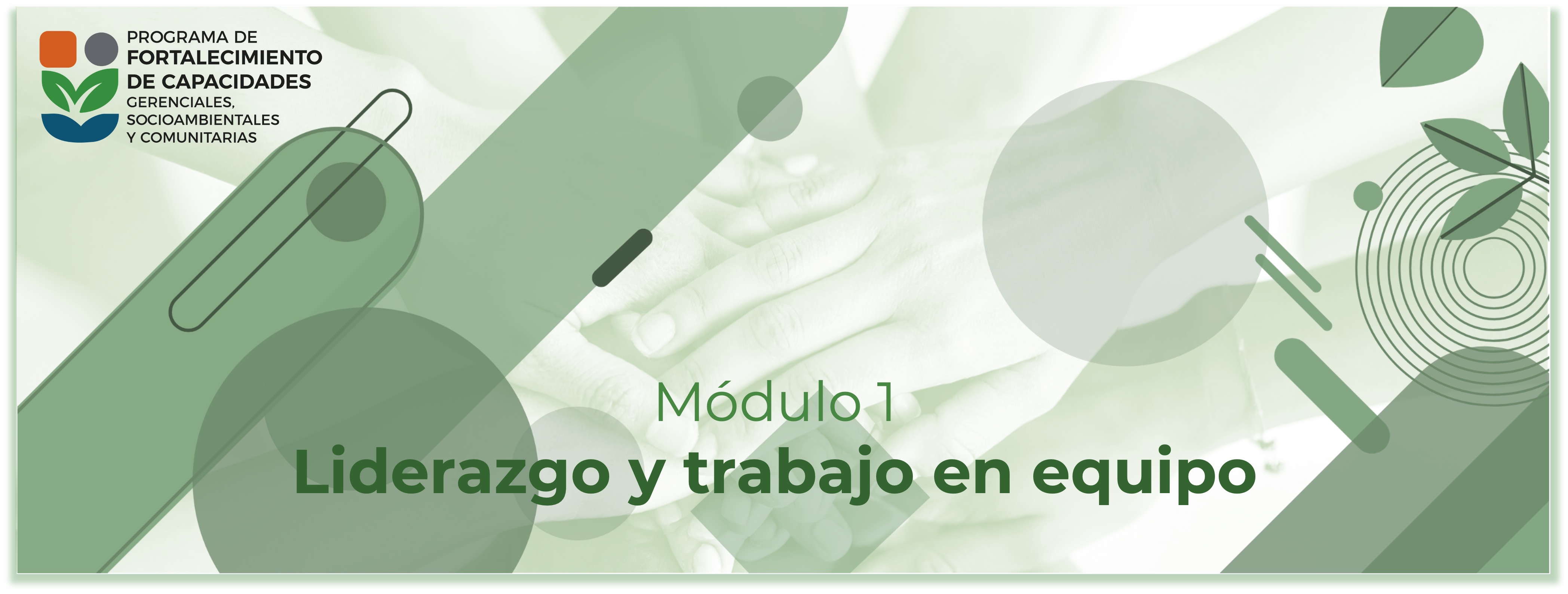 Módulo 1. Liderazgo y trabajo en equipo 